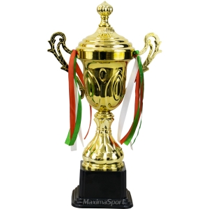 Trophy Cup 35 cm.