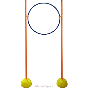 Training target