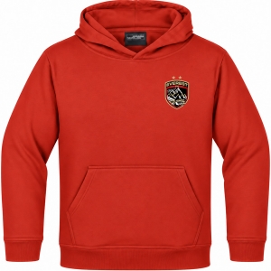 Hoodies for school uniforms and organization uniforms - Men