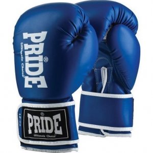 Boxing gloves Pride