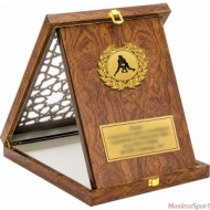 Wooden plaque with an inscription and logo sport 26х20 cm.
