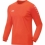Soccer Jako Jersey Team long sleeve for kids