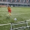Football Rebounder Wave