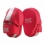Training focus mitts professional