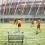 Football Rebounder Wave