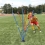 Rubber base for 3 pcs slalom poles