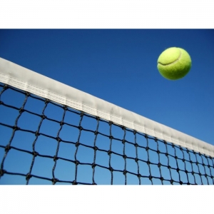 Tennis net professional 4 mm.