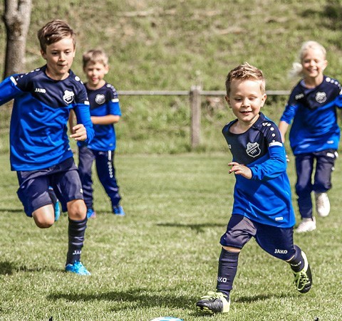 Soccer Shorts Jako