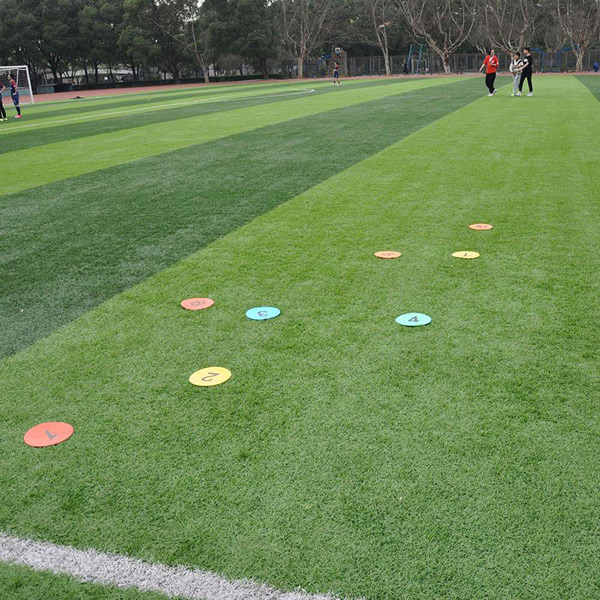 Flat Marker Discs